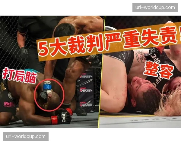 MMA裁判认证标准引发讨论，行业协会呼吁建立更统一的评级体系